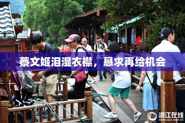 蔡文姬泪湿衣襟，恳求再给机会