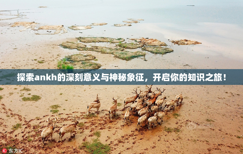 探索ankh的深刻意义与神秘象征，开启你的知识之旅！