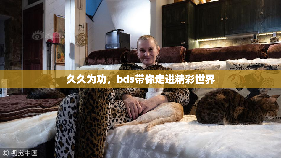 久久为功，bds带你走进精彩世界