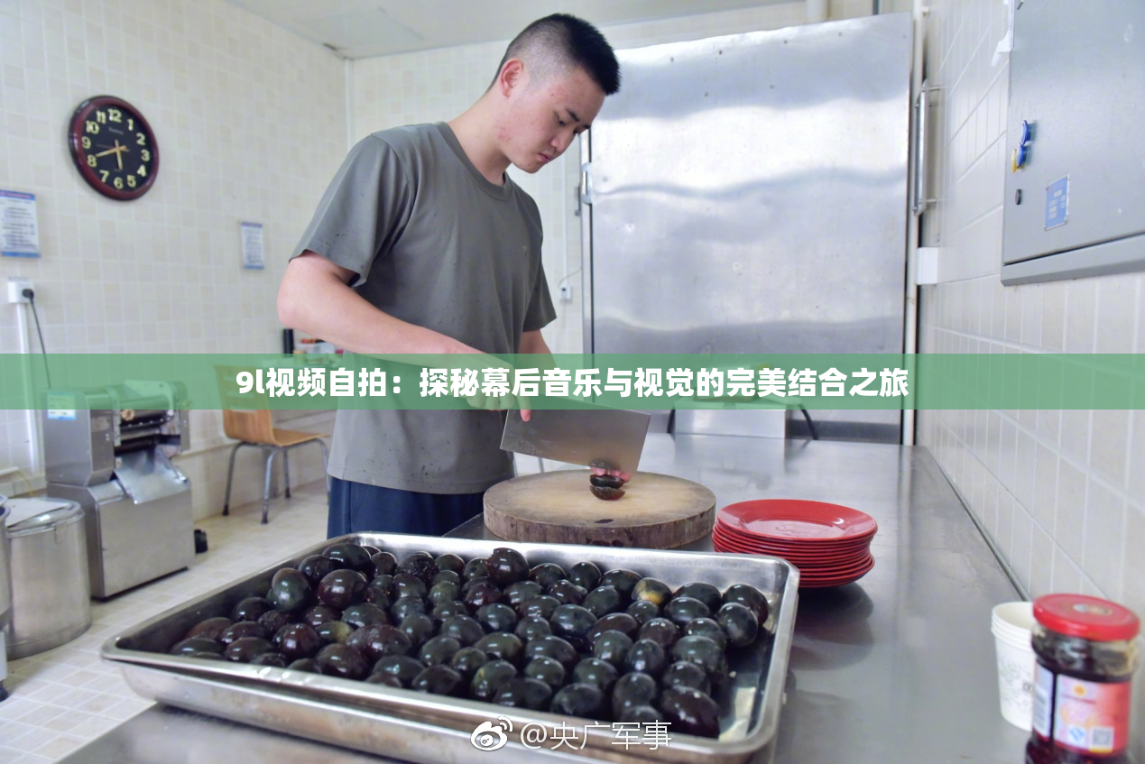 9l视频自拍：探秘幕后音乐与视觉的完美结合之旅
