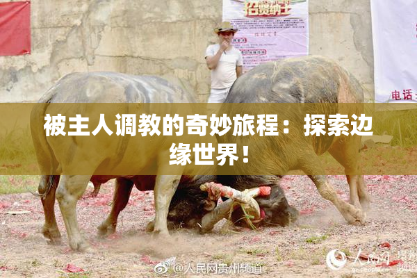 被主人调教的奇妙旅程：探索边缘世界！