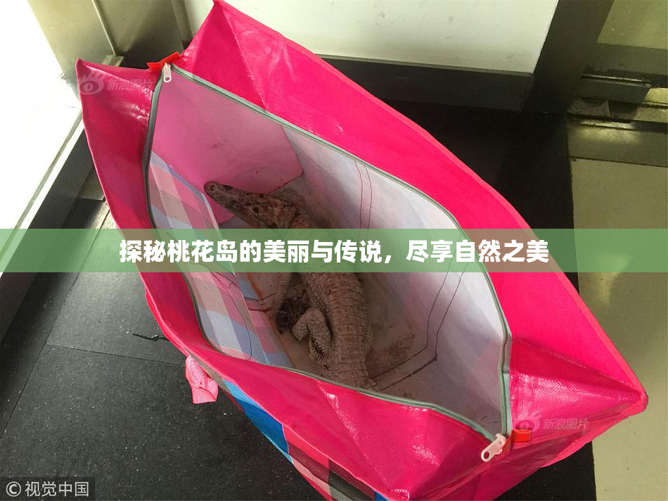 探秘桃花岛的美丽与传说，尽享自然之美