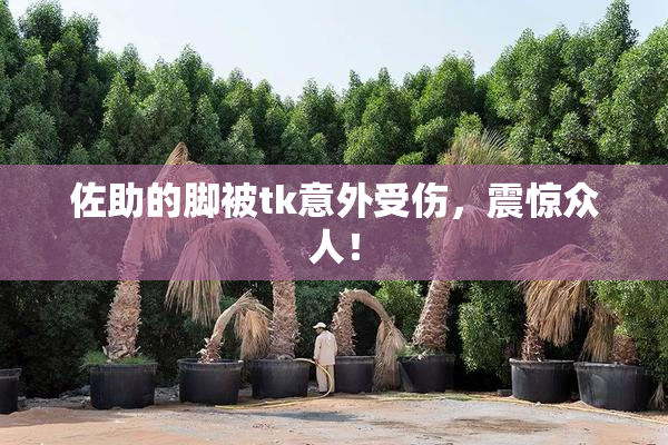 佐助的脚被tk意外受伤，震惊众人！