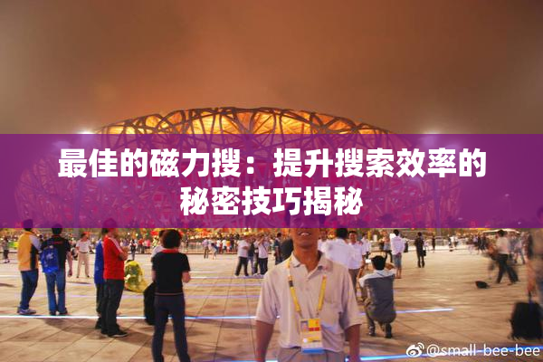 最佳的磁力搜：提升搜索效率的秘密技巧揭秘