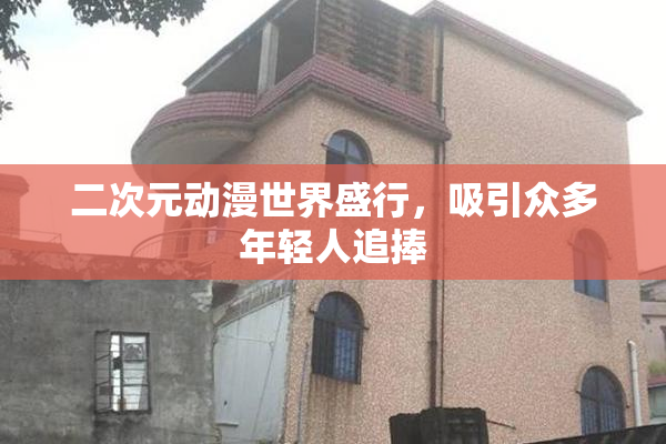 二次元动漫世界盛行，吸引众多年轻人追捧
