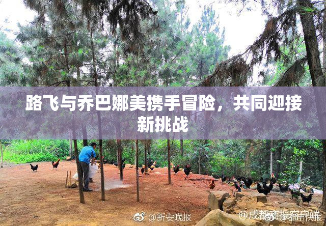 路飞与乔巴娜美携手冒险，共同迎接新挑战