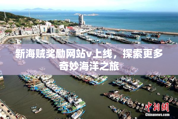 新海贼奖励网站v上线，探索更多奇妙海洋之旅