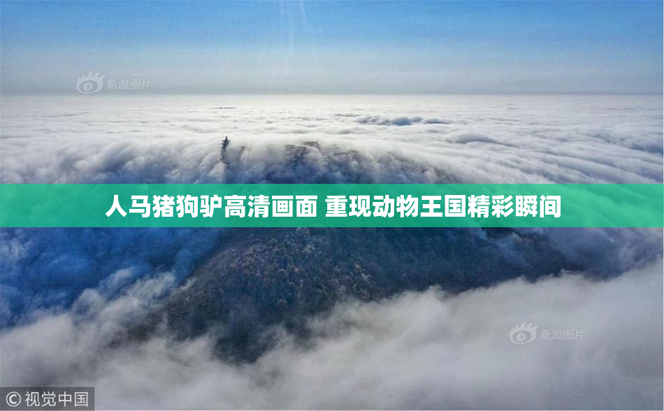 人马猪狗驴高清画面 重现动物王国精彩瞬间