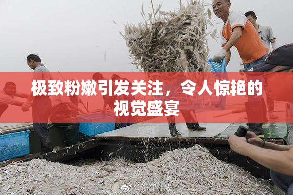 极致粉嫩引发关注，令人惊艳的视觉盛宴