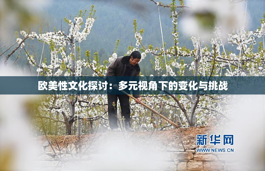 欧美性文化探讨：多元视角下的变化与挑战