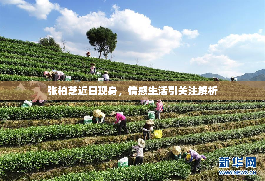 张柏芝近日现身，情感生活引关注解析