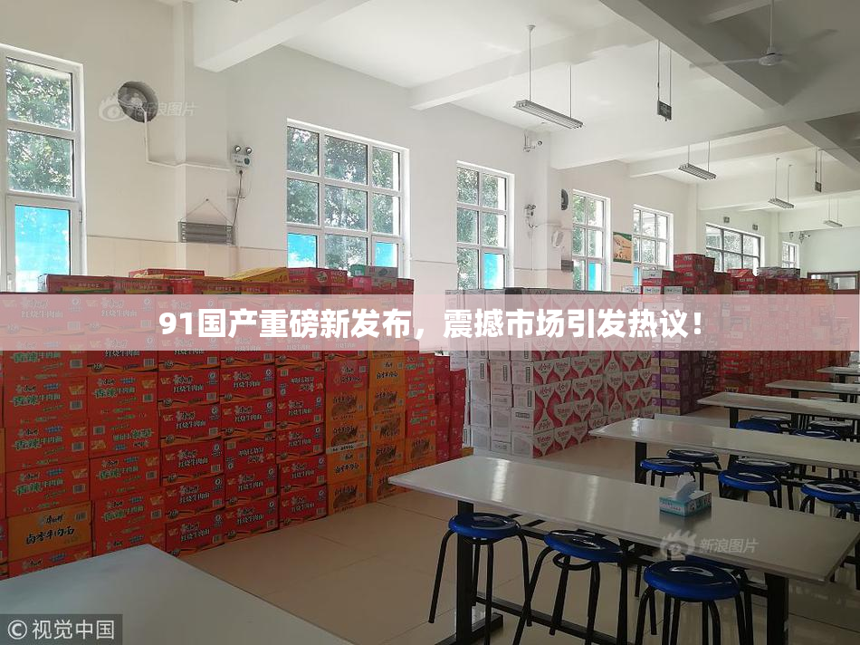 91国产重磅新发布，震撼市场引发热议！