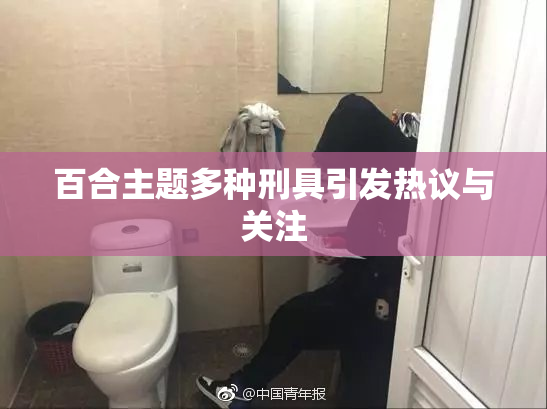 百合主题多种刑具引发热议与关注