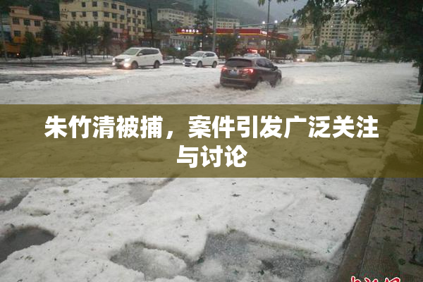 朱竹清被捕，案件引发广泛关注与讨论