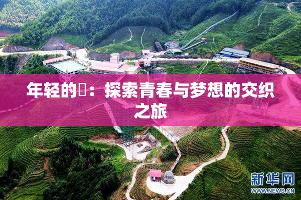 年轻的妺：探索青春与梦想的交织之旅