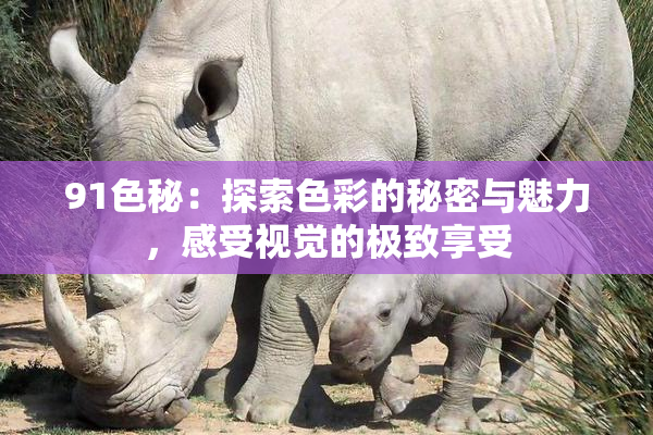 91色秘：探索色彩的秘密与魅力，感受视觉的极致享受