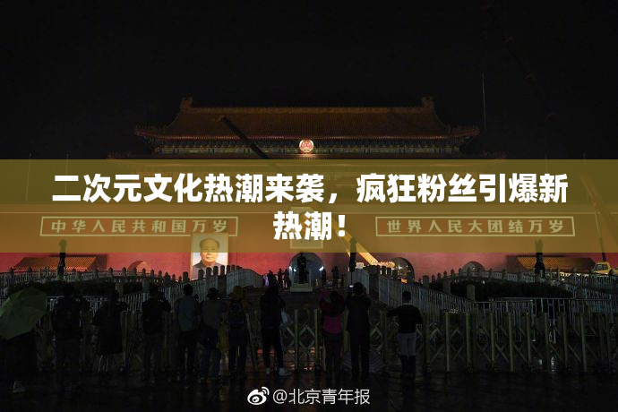 二次元文化热潮来袭，疯狂粉丝引爆新热潮！