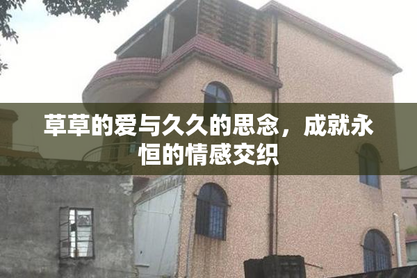 草草的爱与久久的思念，成就永恒的情感交织