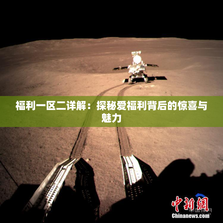 福利一区二详解：探秘爱福利背后的惊喜与魅力