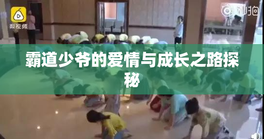 霸道少爷的爱情与成长之路探秘