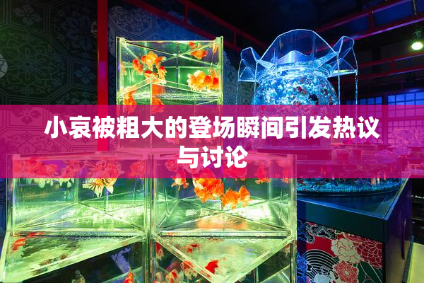 小哀被粗大的登场瞬间引发热议与讨论