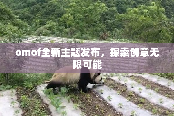 omof全新主题发布，探索创意无限可能
