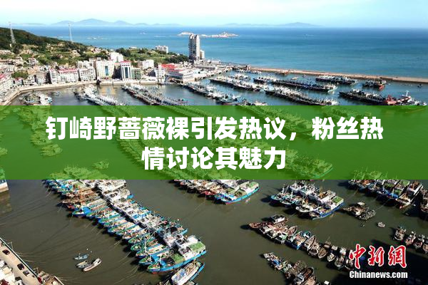 钉崎野蔷薇裸引发热议，粉丝热情讨论其魅力