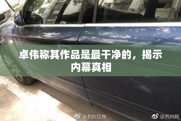 卓伟称其作品是最干净的，揭示内幕真相