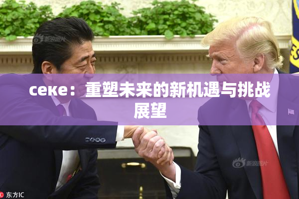 ceке：重塑未来的新机遇与挑战展望