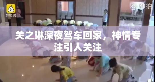 关之琳深夜驾车回家，神情专注引人关注