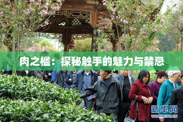 肉之槛：探秘触手的魅力与禁忌