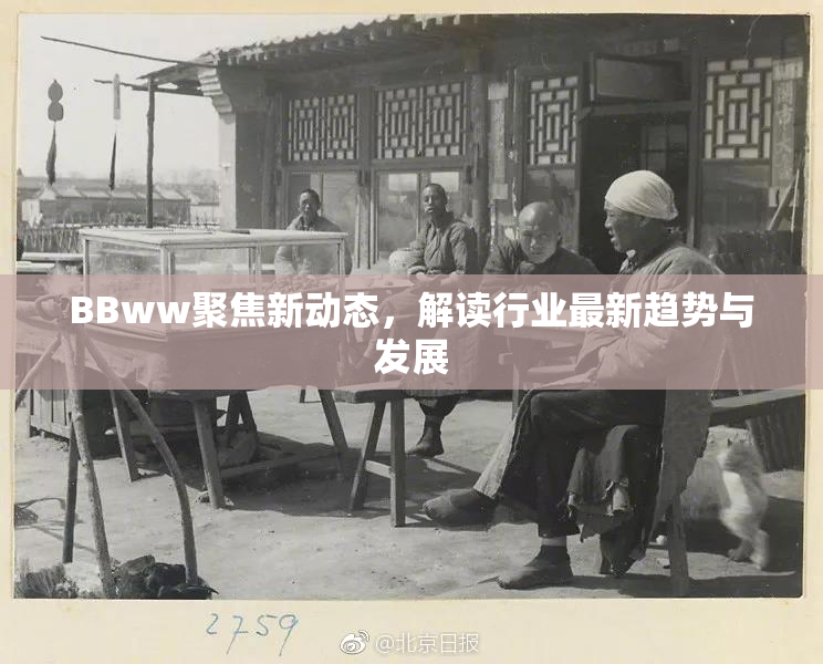 BBww聚焦新动态，解读行业最新趋势与发展