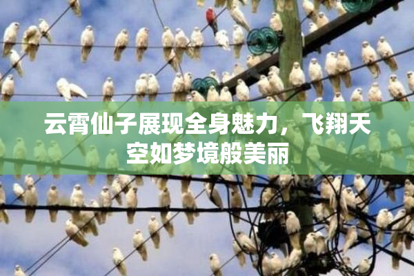 云霄仙子展现全身魅力，飞翔天空如梦境般美丽