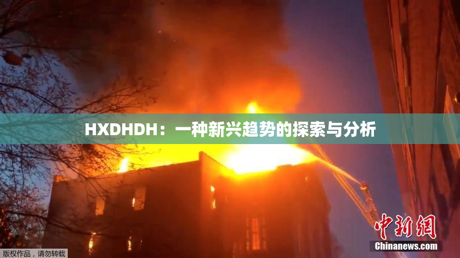 HXDHDH：一种新兴趋势的探索与分析