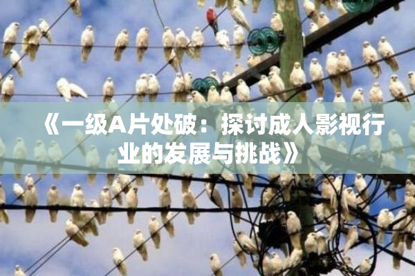 《一级A片处破：探讨成人影视行业的发展与挑战》