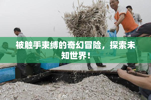 被触手束缚的奇幻冒险，探索未知世界！
