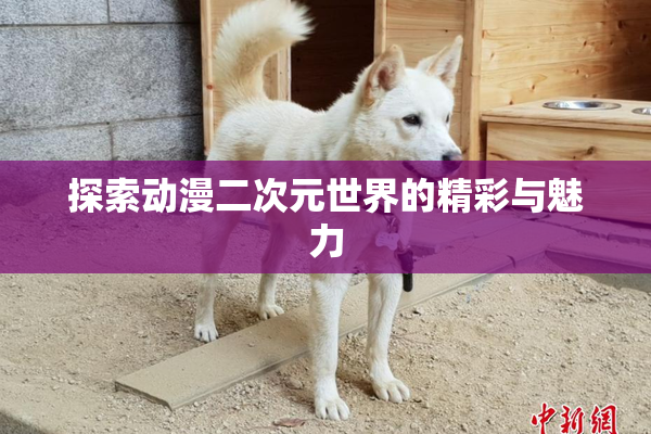 探索动漫二次元世界的精彩与魅力