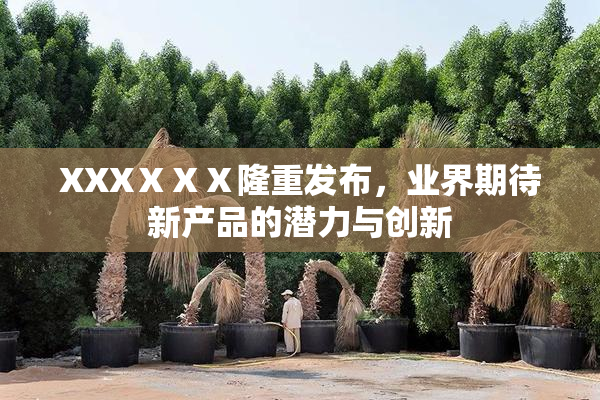 XXXⅩⅩⅩ隆重发布，业界期待新产品的潜力与创新