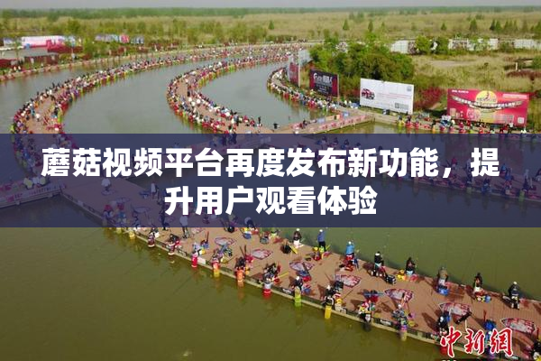 蘑菇视频平台再度发布新功能，提升用户观看体验