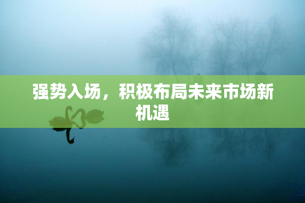 强势入场，积极布局未来市场新机遇