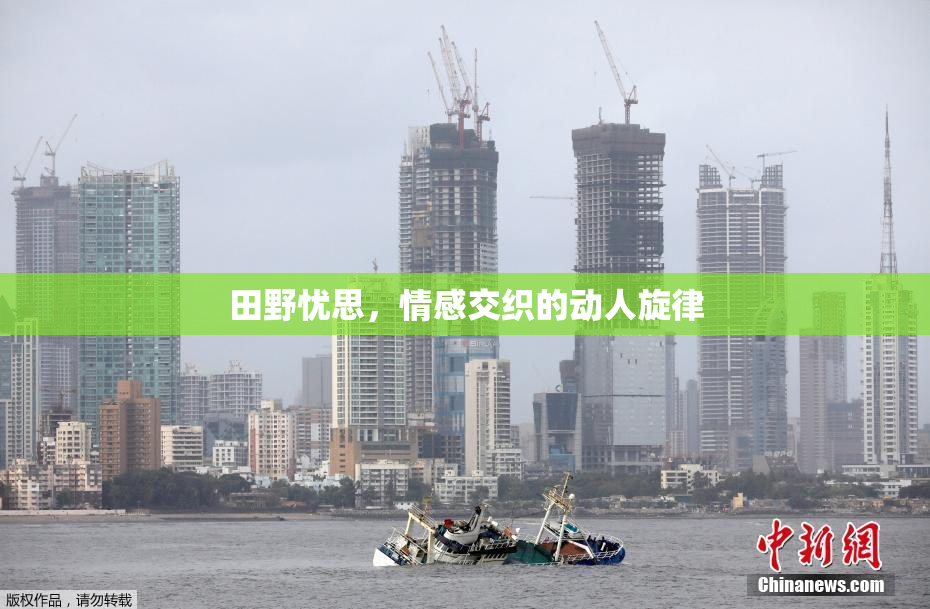 田野忧思，情感交织的动人旋律