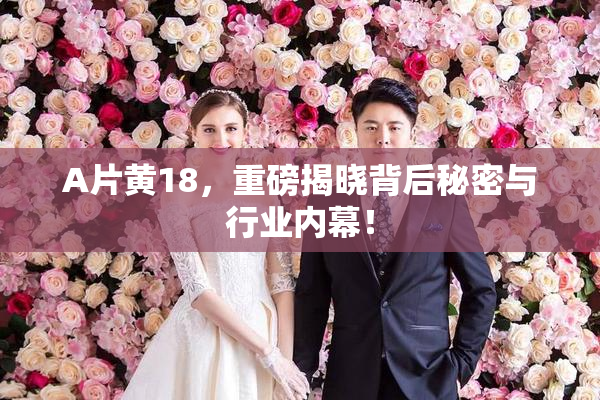 A片黄18，重磅揭晓背后秘密与行业内幕！