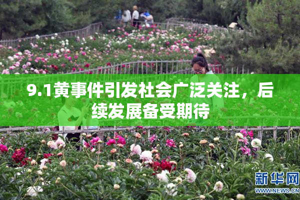 9.1黄事件引发社会广泛关注，后续发展备受期待