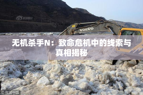 无机杀手N：致命危机中的线索与真相揭秘