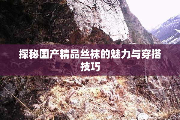 探秘国产精品丝袜的魅力与穿搭技巧