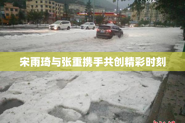 宋雨琦与张重携手共创精彩时刻