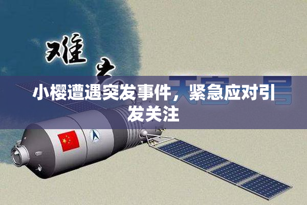 小樱遭遇突发事件，紧急应对引发关注