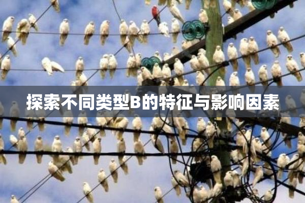 探索不同类型B的特征与影响因素