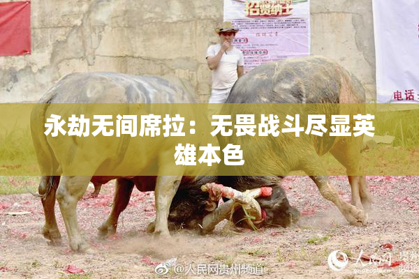 永劫无间席拉：无畏战斗尽显英雄本色