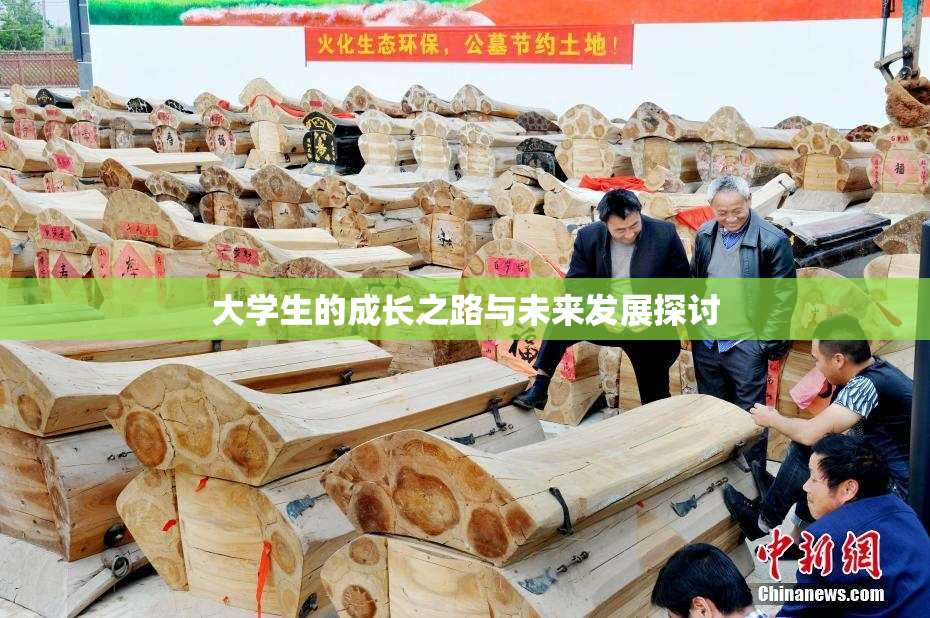 大学生的成长之路与未来发展探讨
